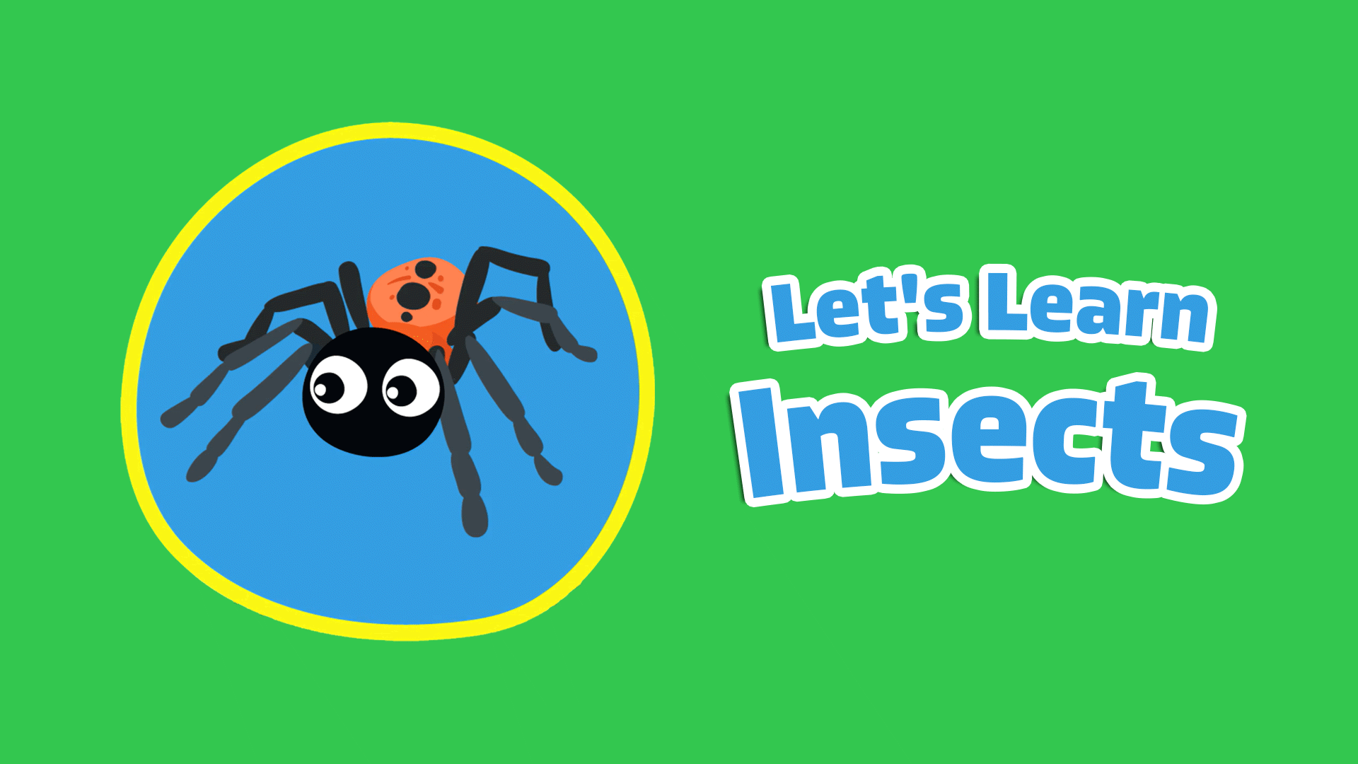 Let's Learn Insects Video & Resources | ClickView