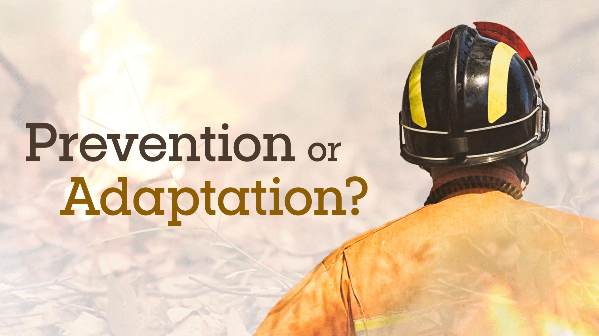 Bushfire Management Video & Resources | ClickView