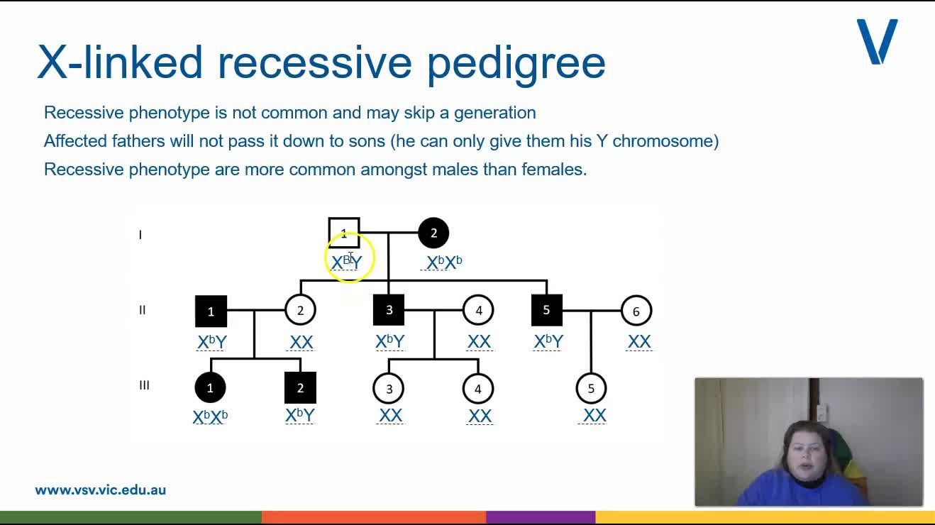 Bio U2 Wk 4 Sex Linked Inheritance Clickview