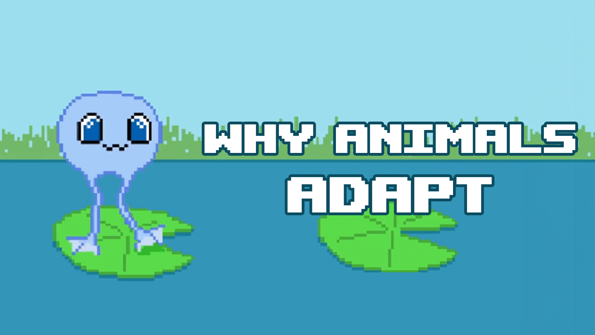 Animal Adaptations Video & Resources | ClickView