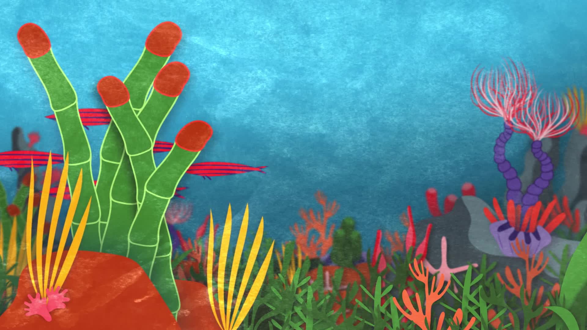 Why Is Biodiversity Important Video Teaching Resources ClickView
