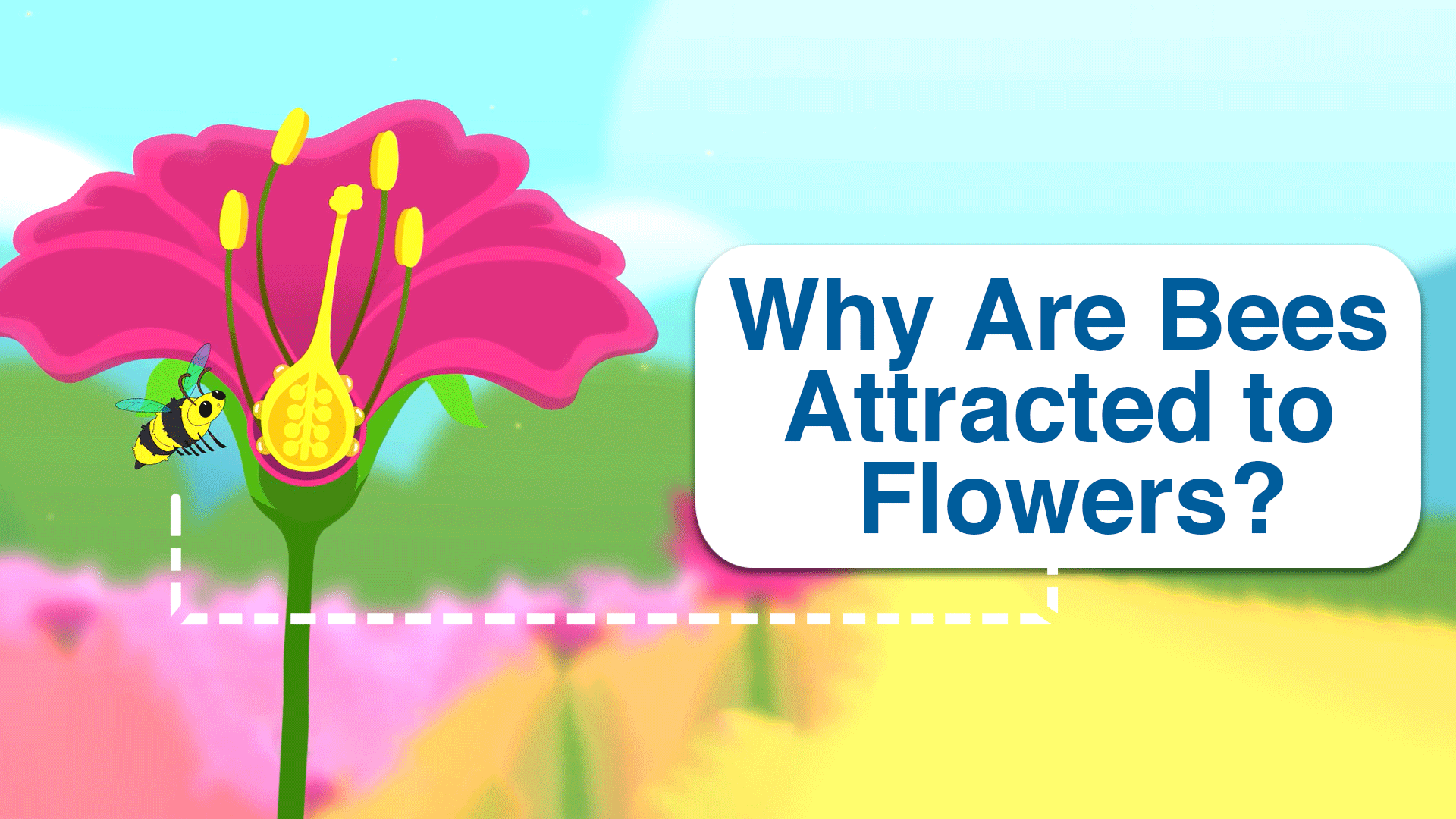 Image Result For Do Bees Like Fruit Why Are They Attracted To It