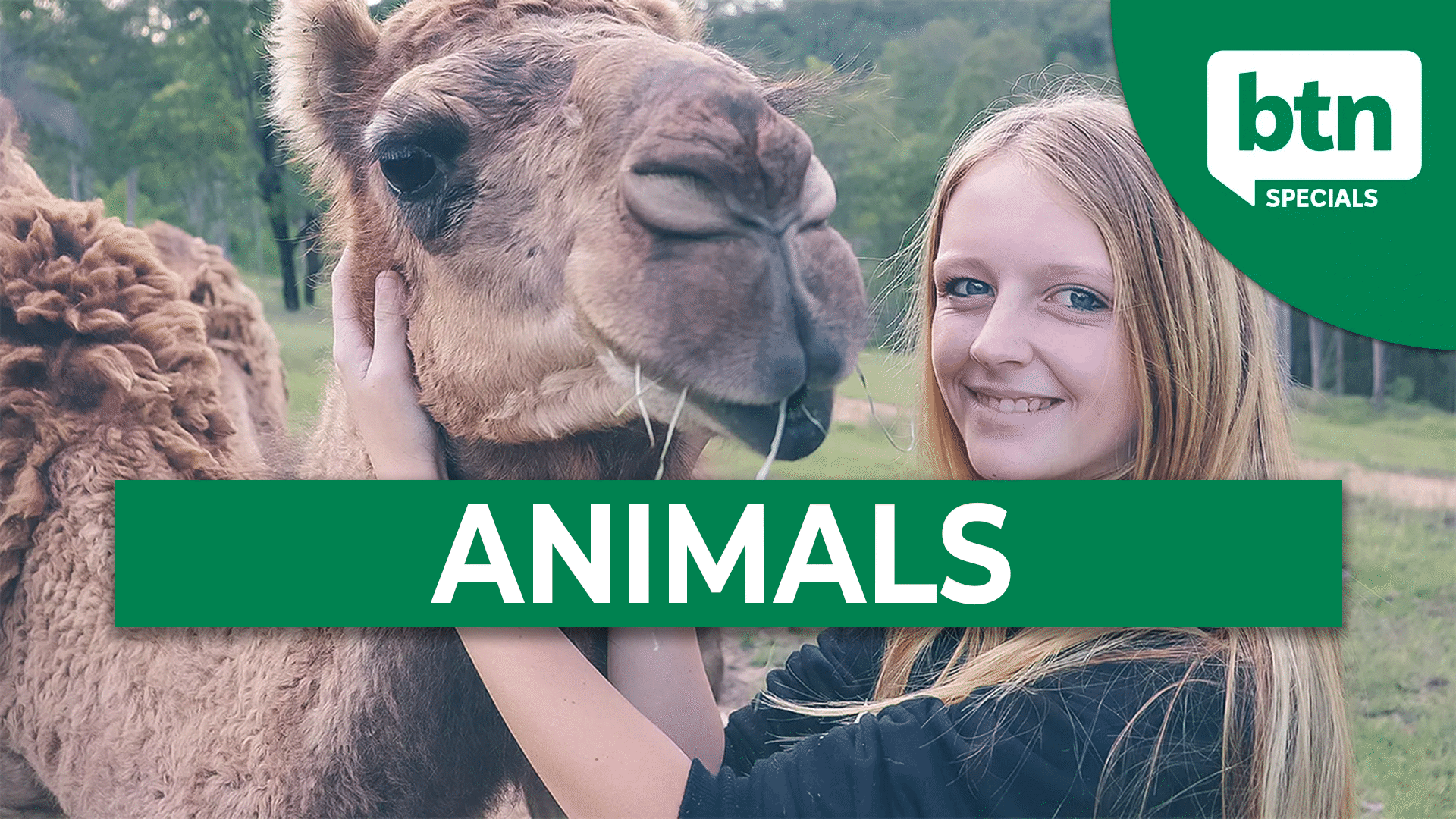 Animals Video & Resources | ClickView