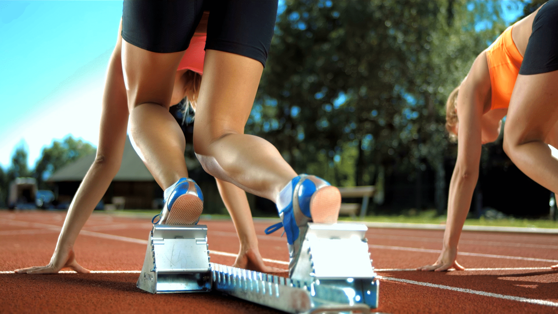 Muscles Videos & Resources | ClickView
