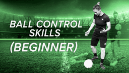 Ball Control Skills (Beginner)