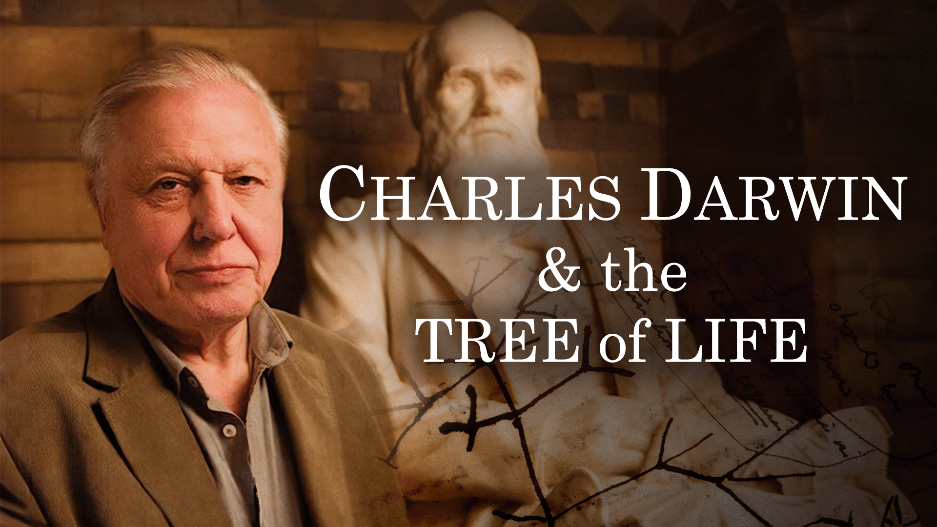 Charles Darwin and the Tree of Life | ClickView