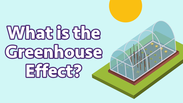 What Is the Greenhouse Effect?