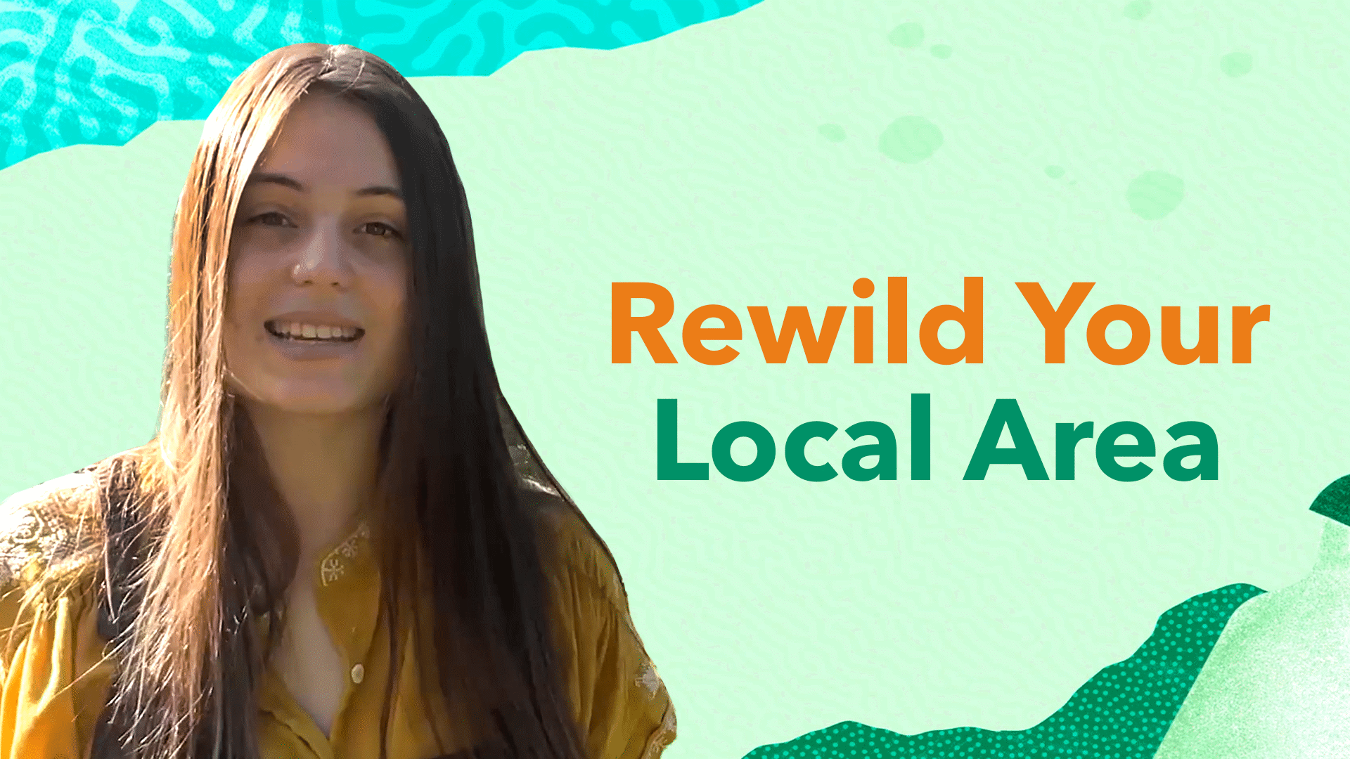 Four Ways to Give Back to Nature through Rewilding | ClickView