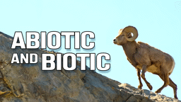 Biomes, Ecosystems and Habitats: Abiotic and Biotic