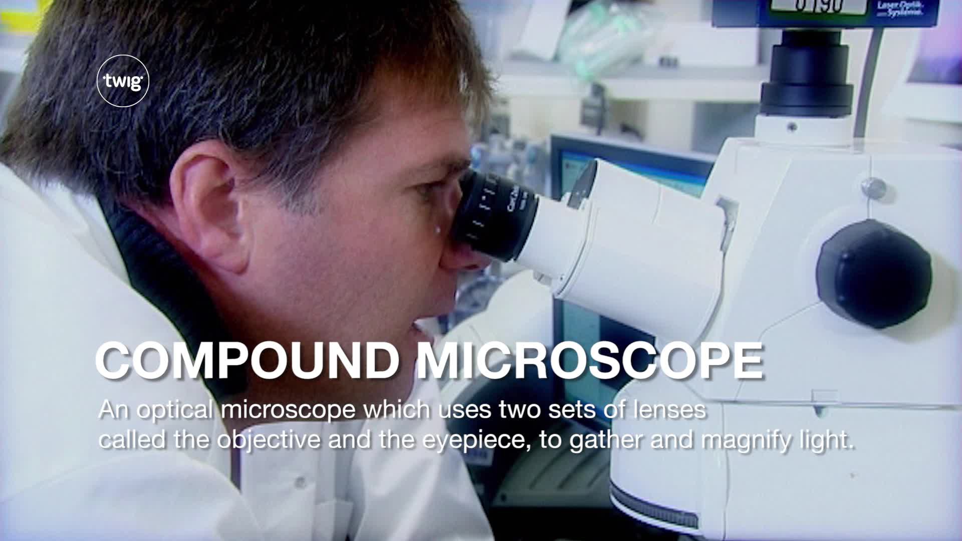 Compound Microscope Video & Resources | ClickView