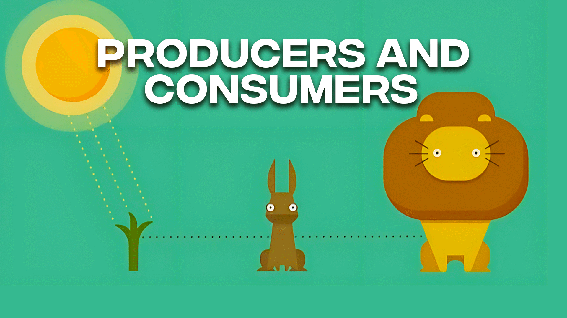 Food Chains Videos, Resources & Worksheets | ClickView