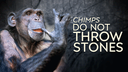 Chimps Do Not Throw Stones