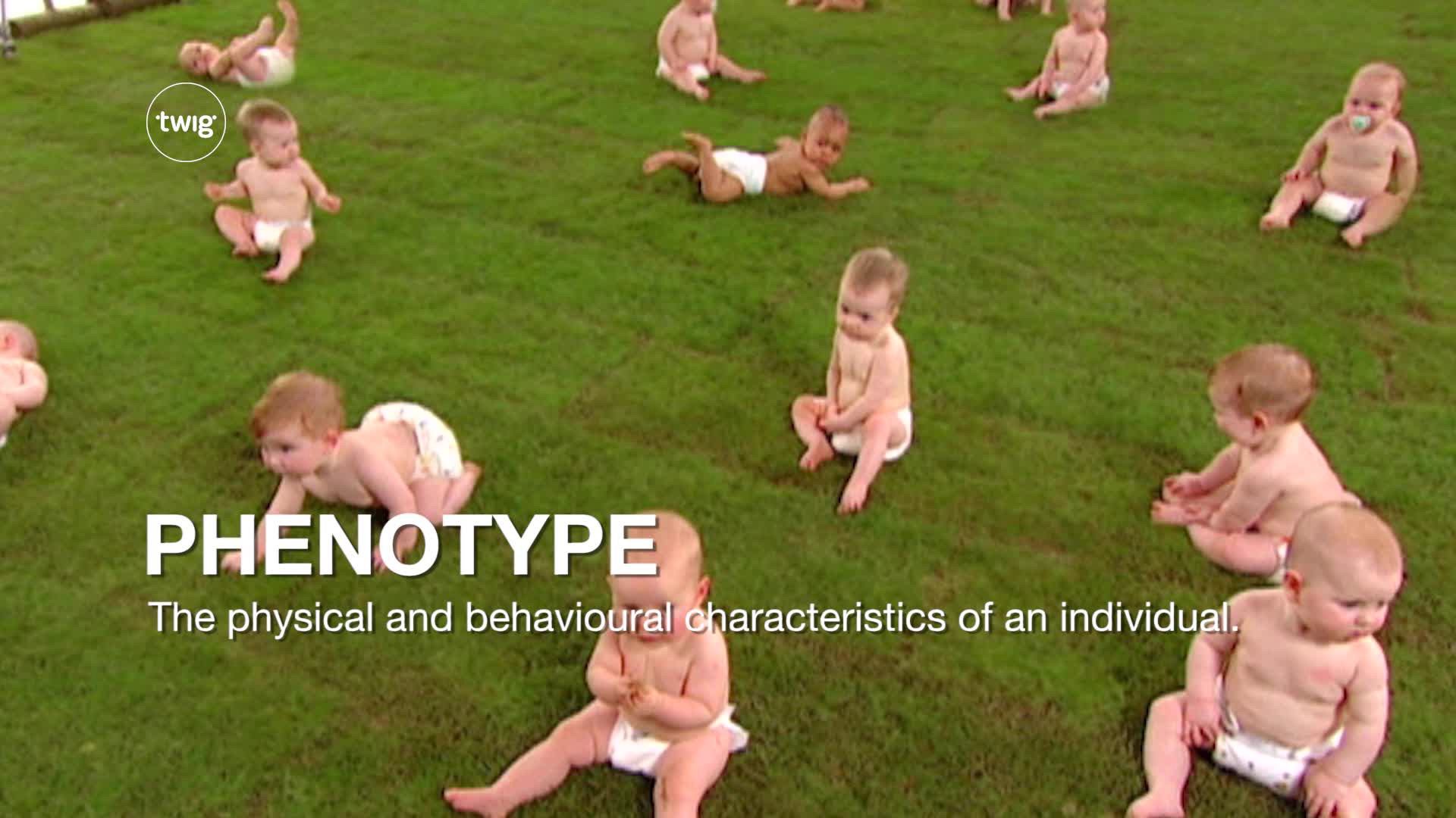 Phenotype Video & Resources | ClickView