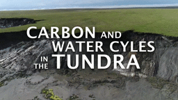 Carbon and Water Cycles in the Tundra