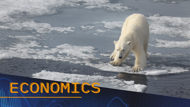 Economics and Climate Change