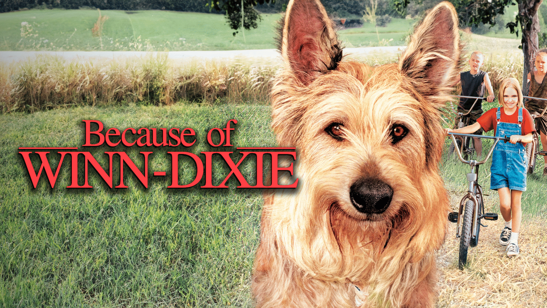 because of winn dixie movie poster