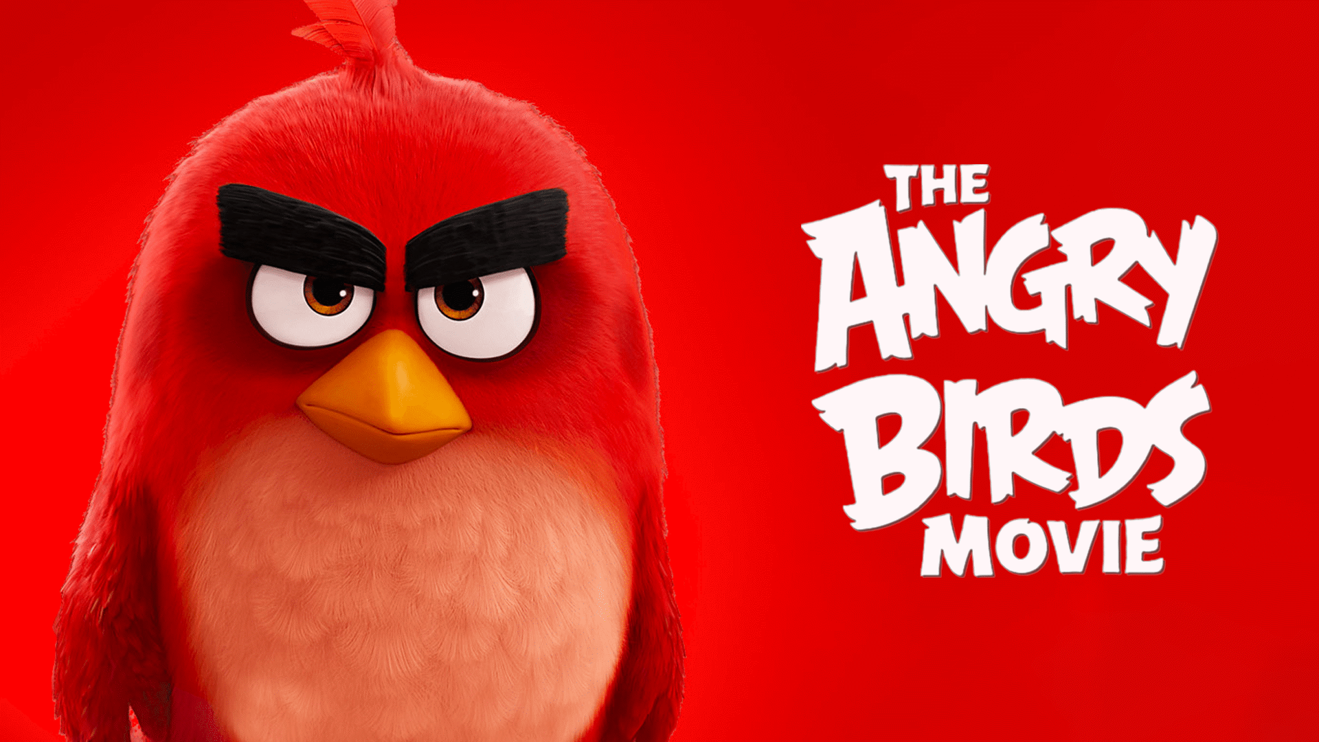 The Angry Birds Movie - Find out why the bird... - ClickView