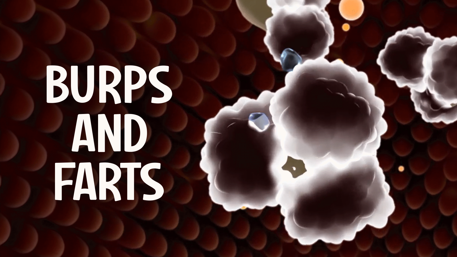 Burps and Farts Video & Resources | ClickView