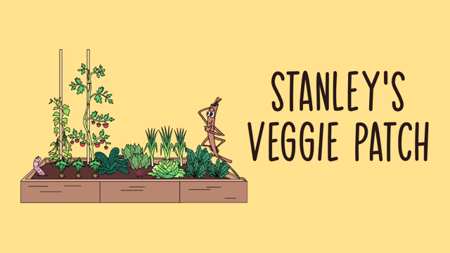 Stanley's Veggie Patch