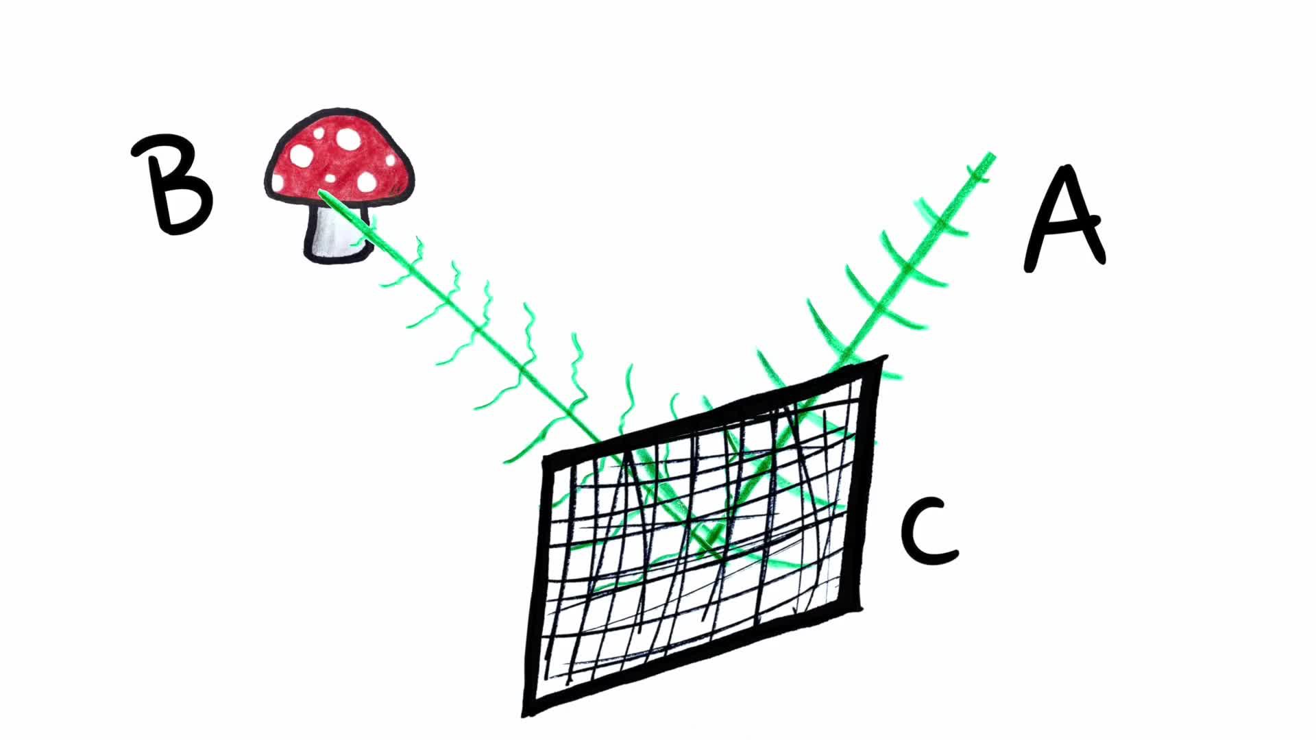 How 3d Holograms Work Video Resources Clickview