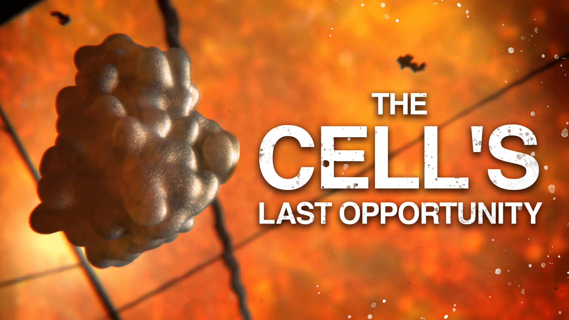 The Cell's Last Opportunity Video & Resources | ClickView