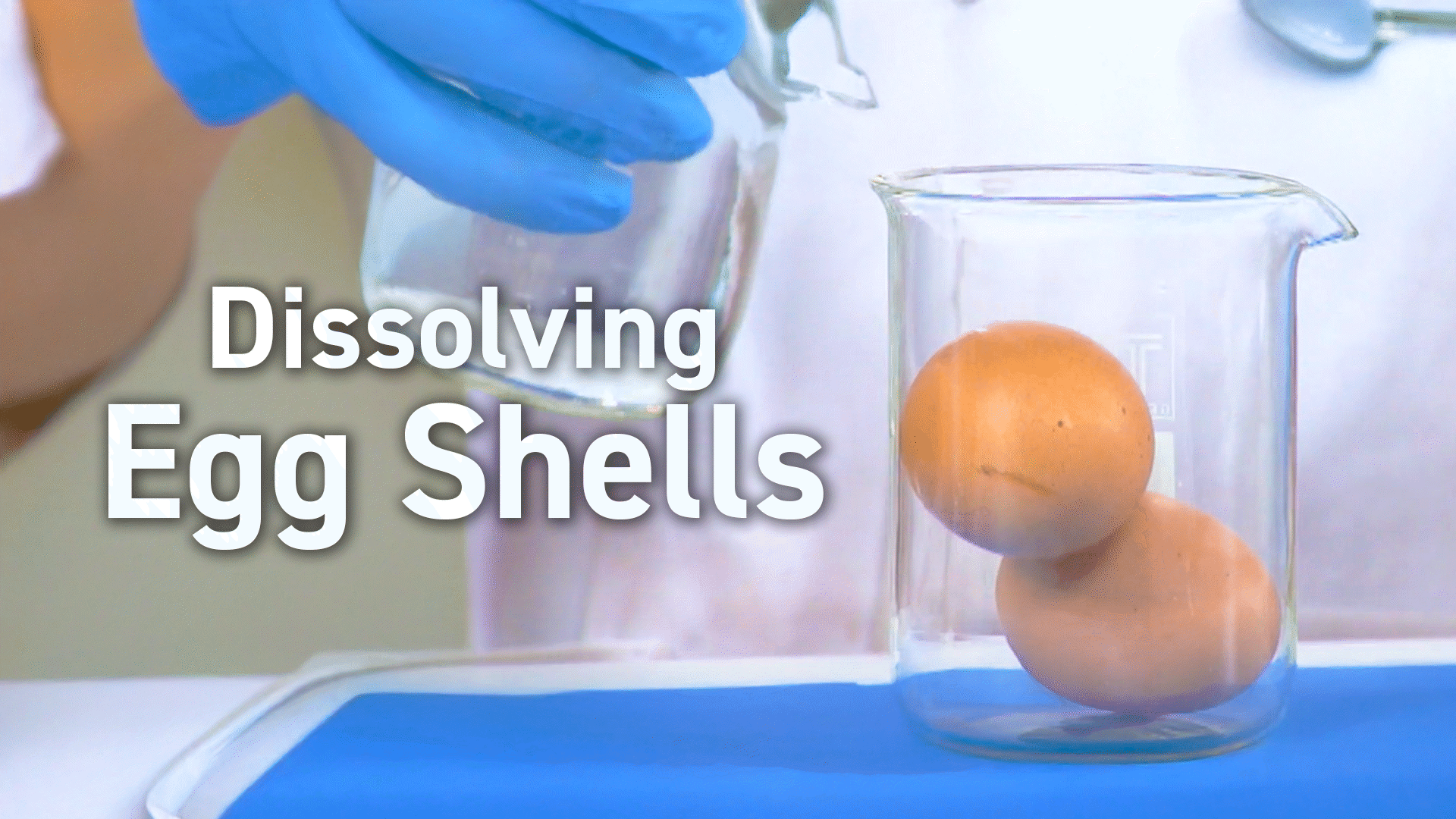 Reactions: Experiments Videos & Resources | ClickView