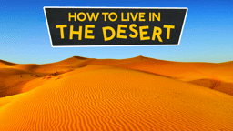 Amazing Ways to Live in the Desert!