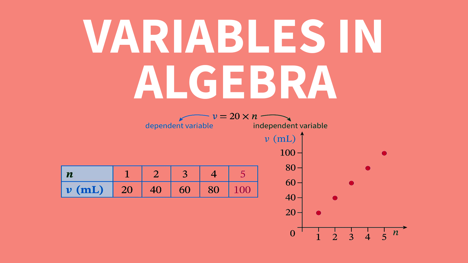 Introduction to Algebra Videos & Resources | ClickView