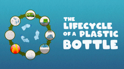 The Lifecycle of a Plastic Bottle