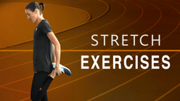 Stretch Exercises (Beginner)