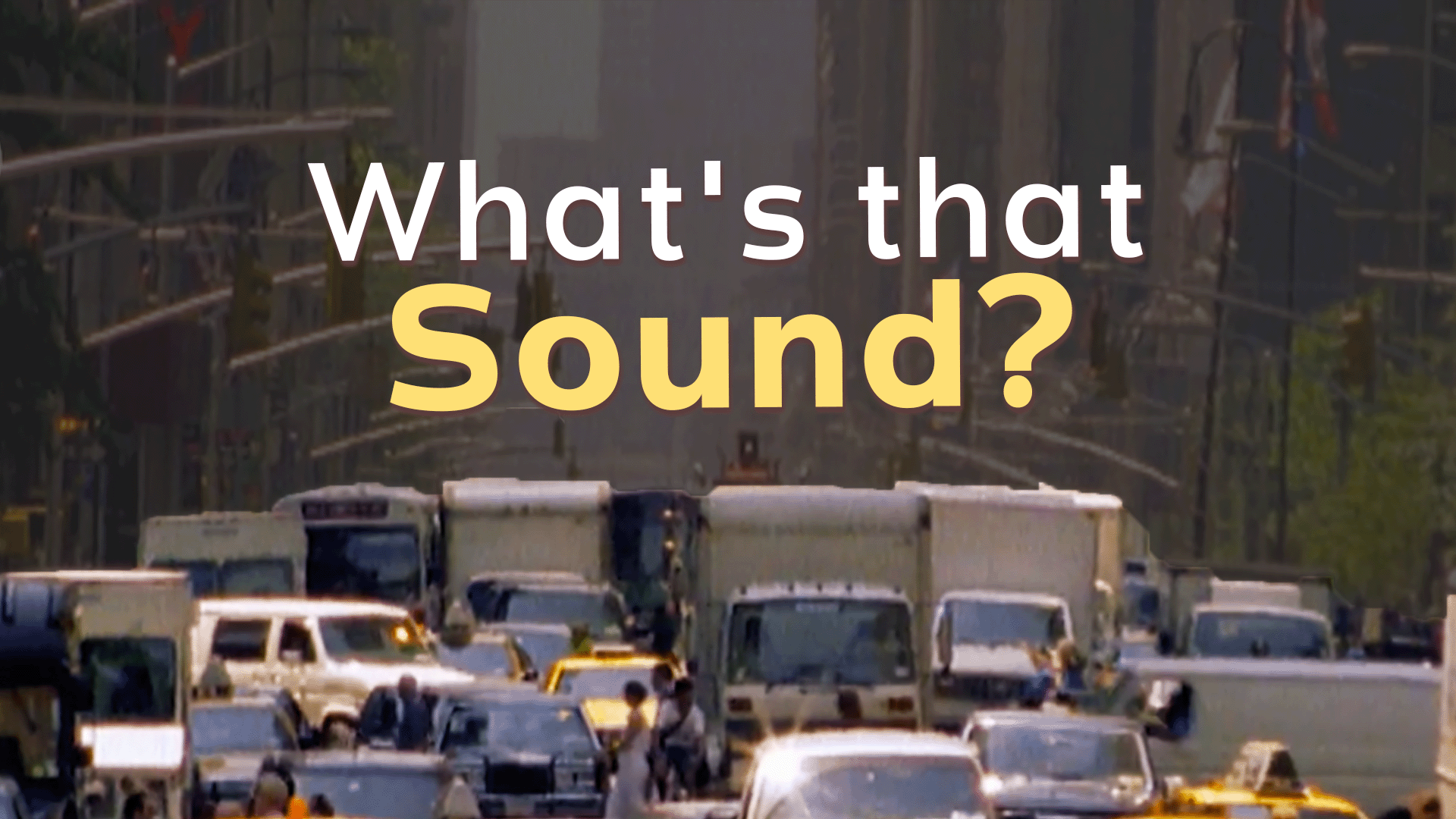 What’s That Sound? Video & Resources | ClickView