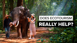 The Paradox of Ecotourism