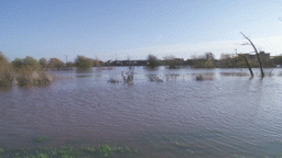 Extreme Weather: The Somerset Floods