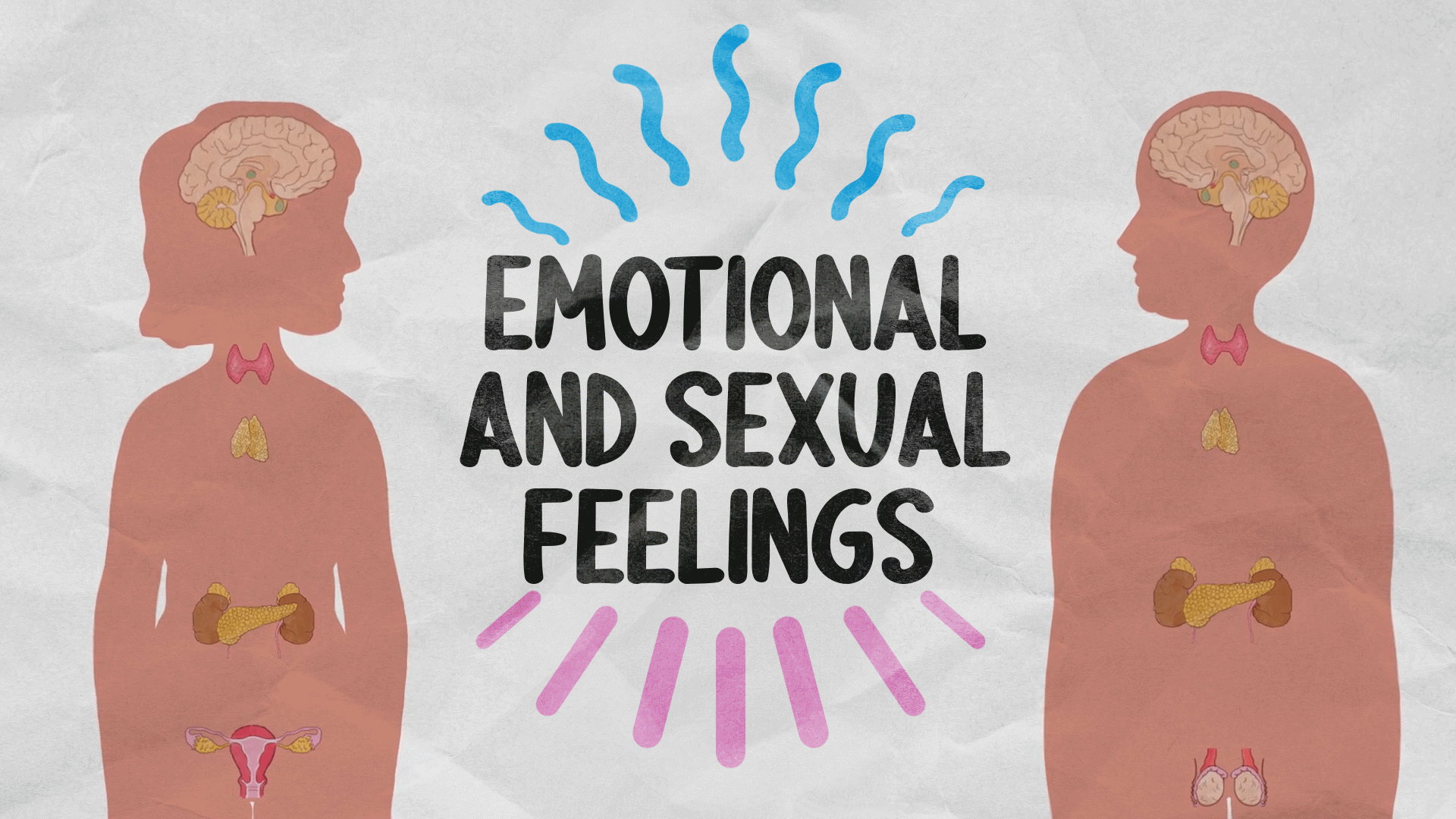 All the Feels Video & Resources | ClickView
