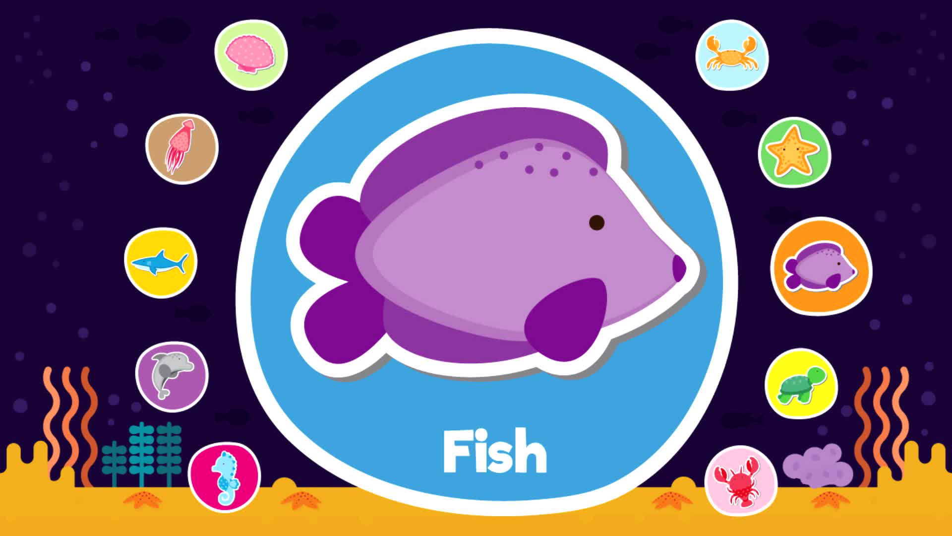 Learn Sea and Water Animals Video & Resources | ClickView