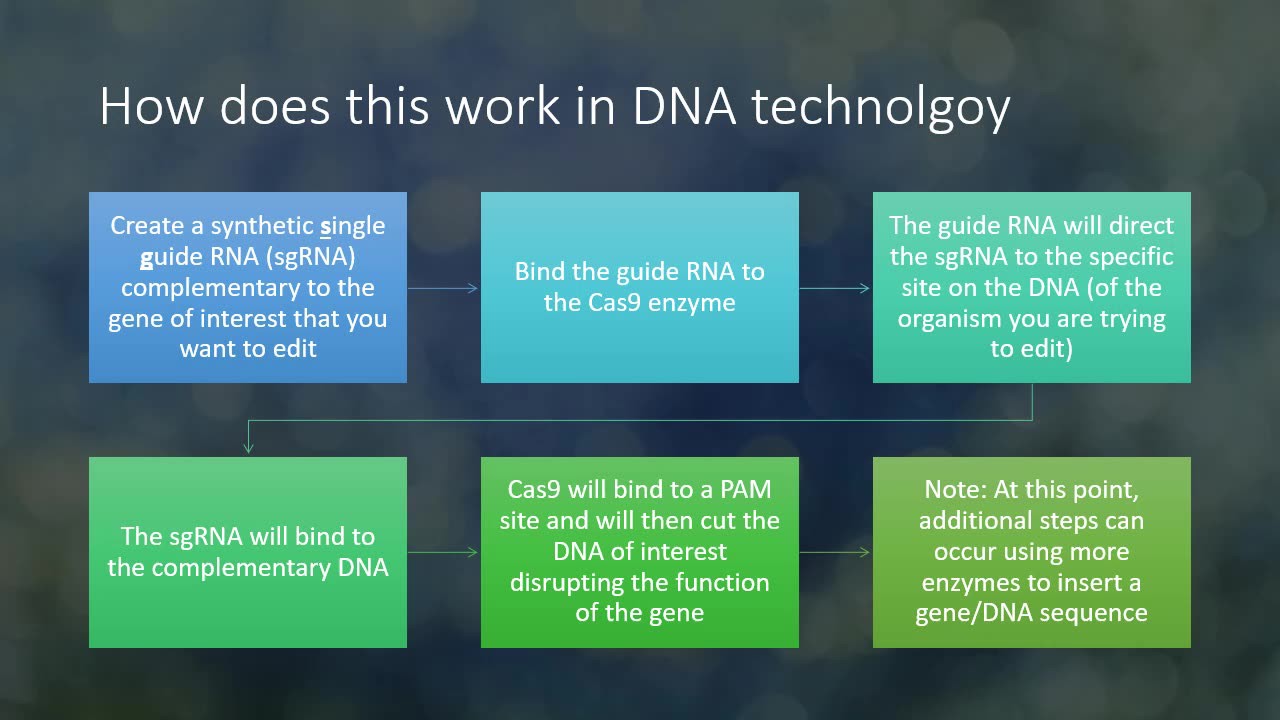 Introduction To Crispr Cas9 Gene Editing Technology Clickview 