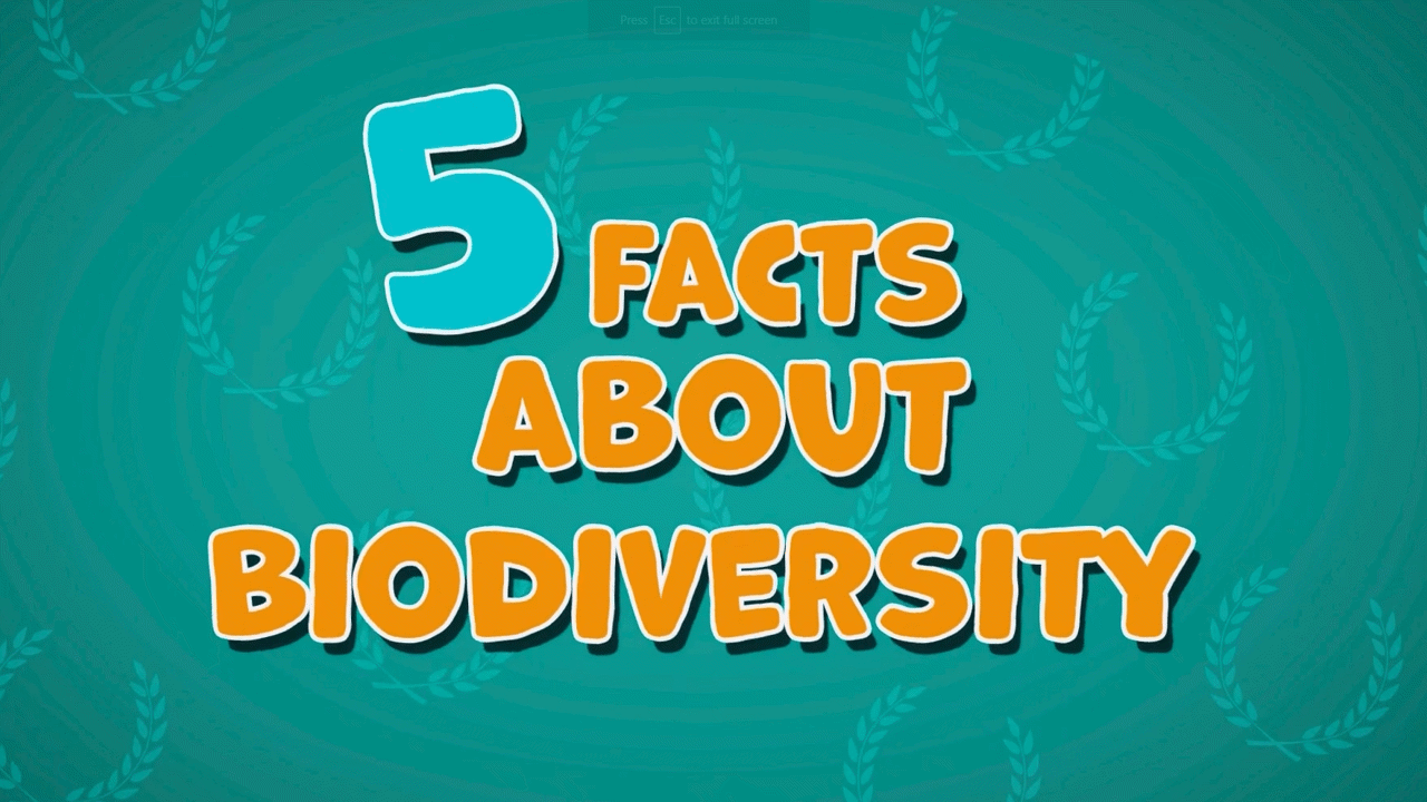 Biodiversity