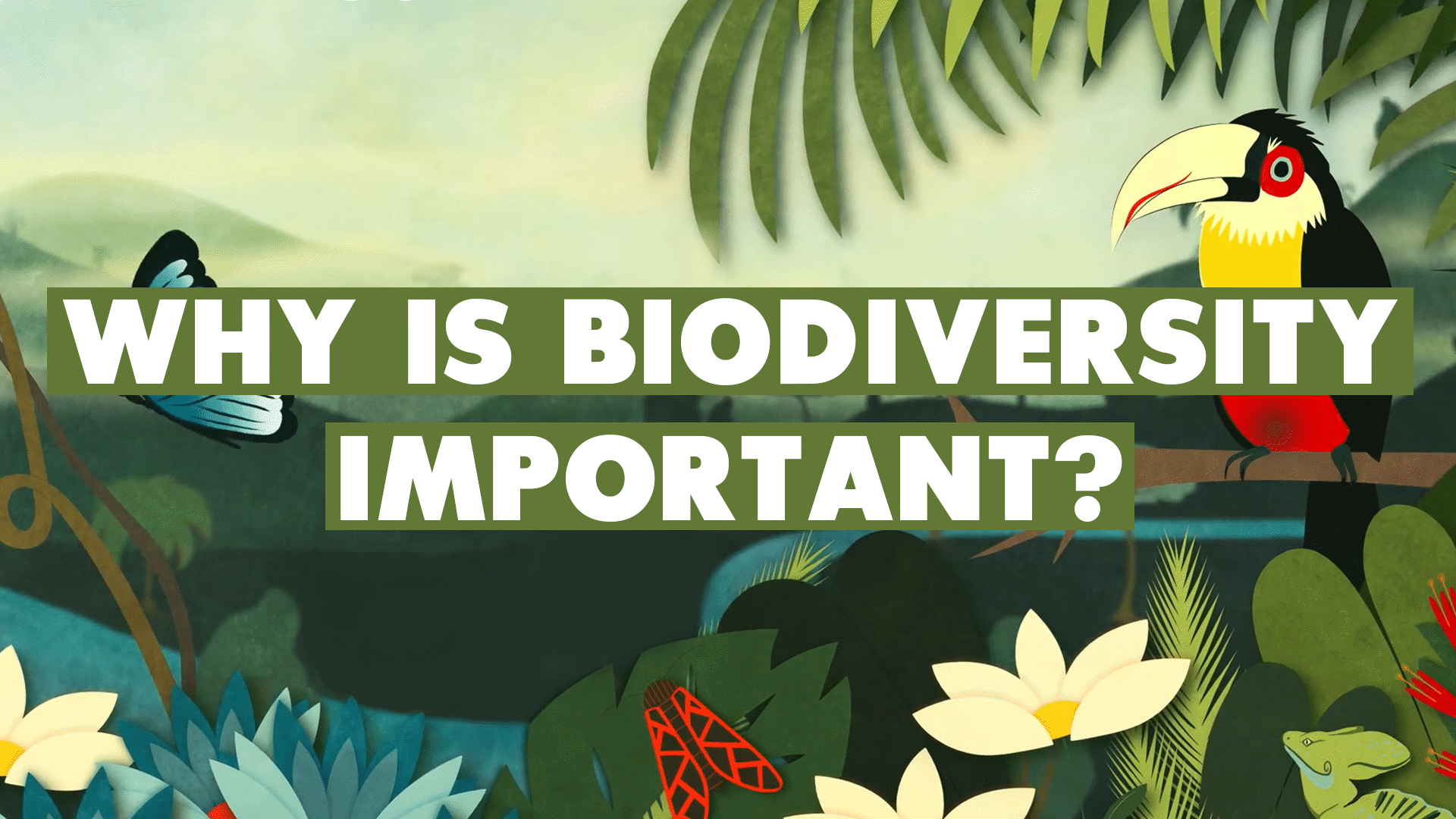 Why Is Biodiversity Important? Video & Resources | ClickView