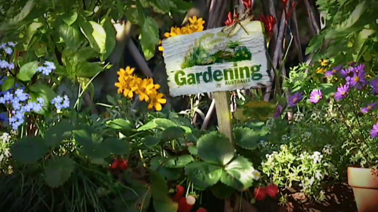 Gardening Australia 