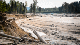 Mixtures: Tailings Dam Disaster