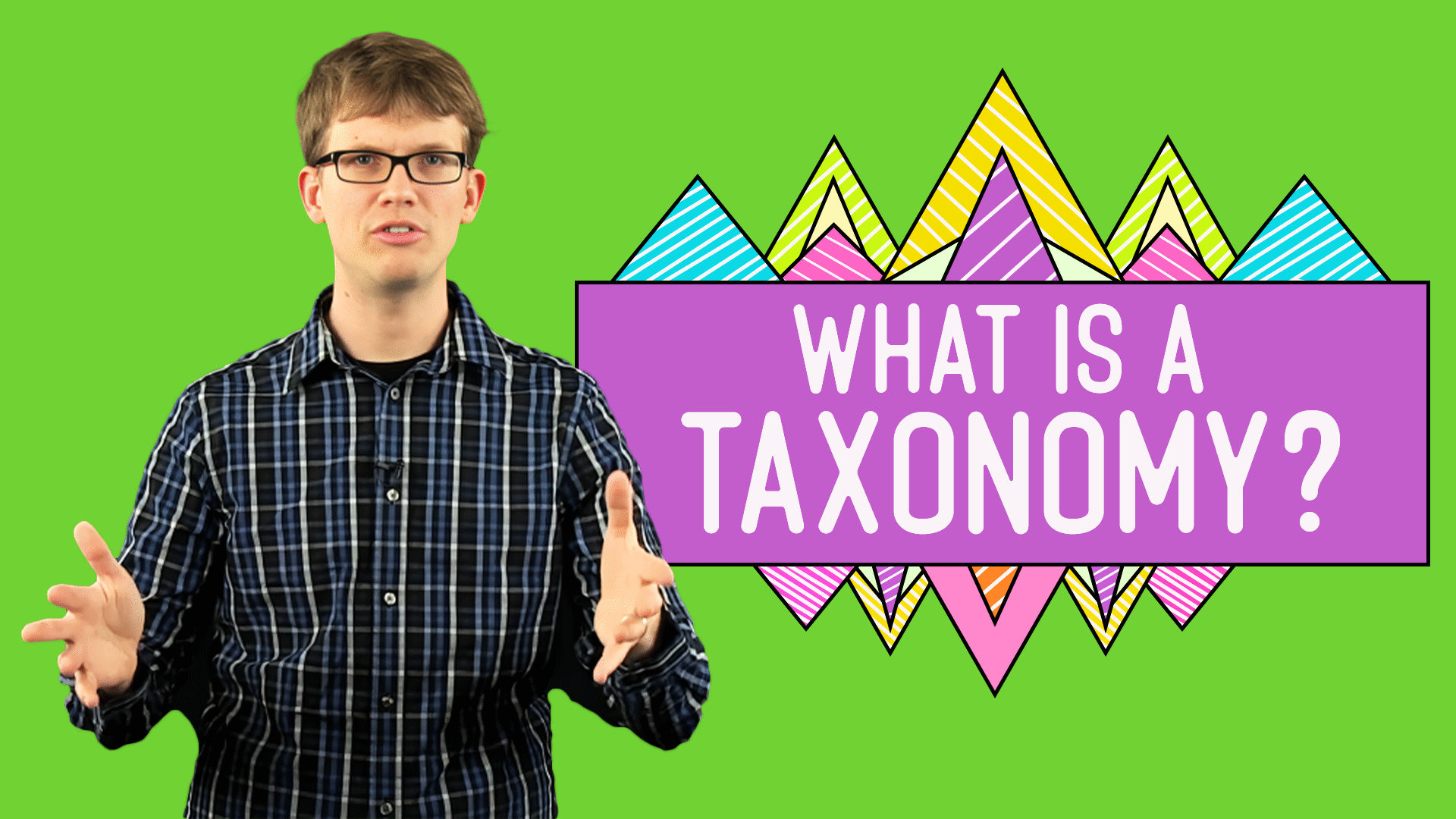 TAXONOMY LIFE S FILING SYSTEM visual data 2