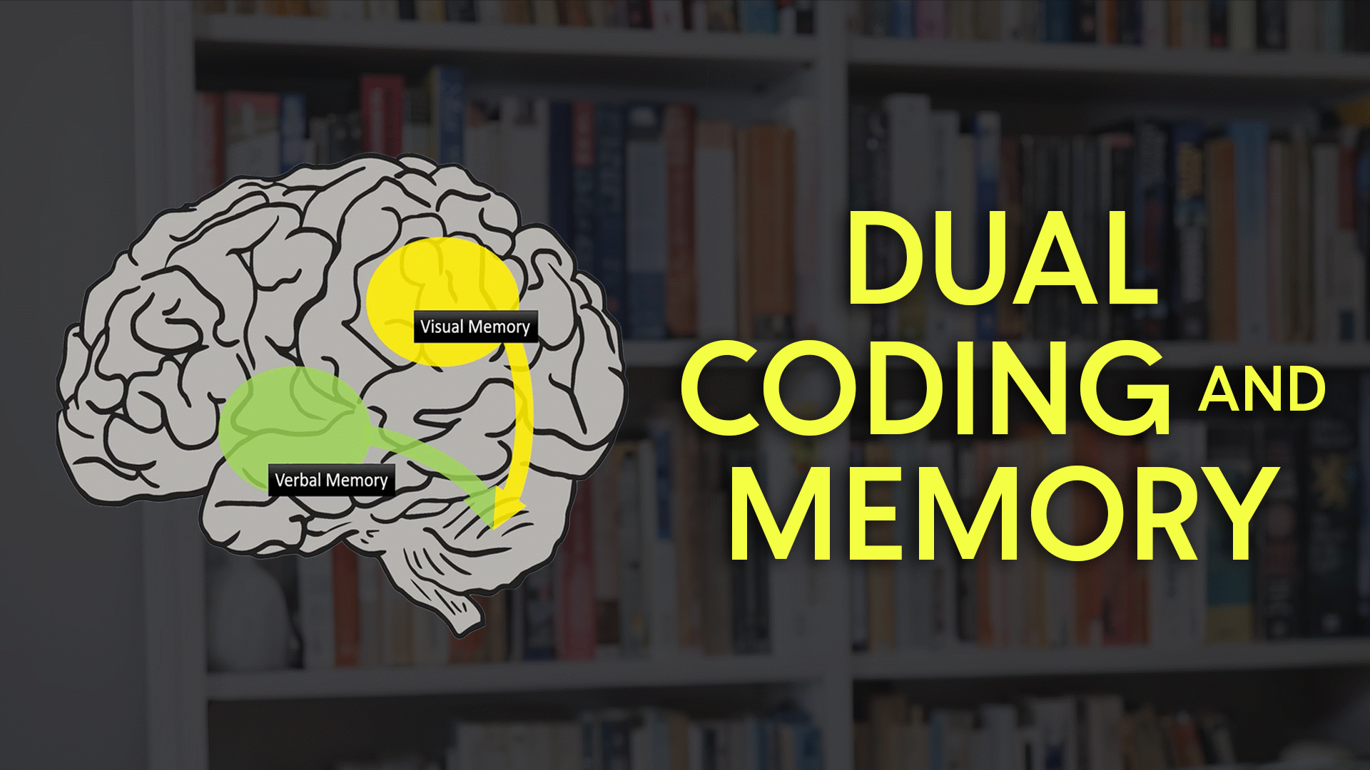 Dynamic Learning Videos & Resources | ClickView