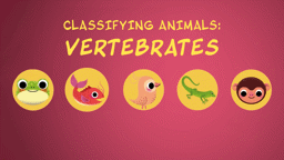 Classifying Animals: Vertebrates
