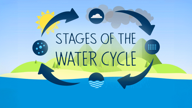Diving into the Water Cycle