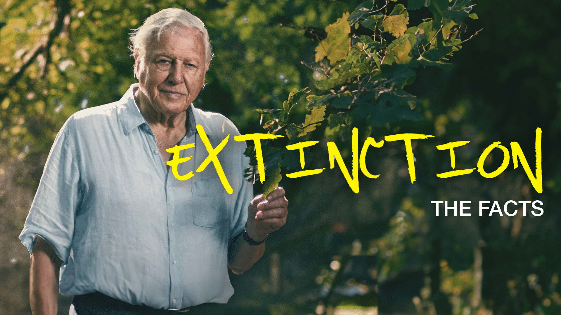 Extinction: The Facts Video & Resources | ClickView