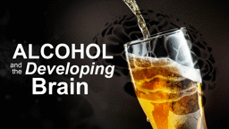 Alcohol and the Developing Brain