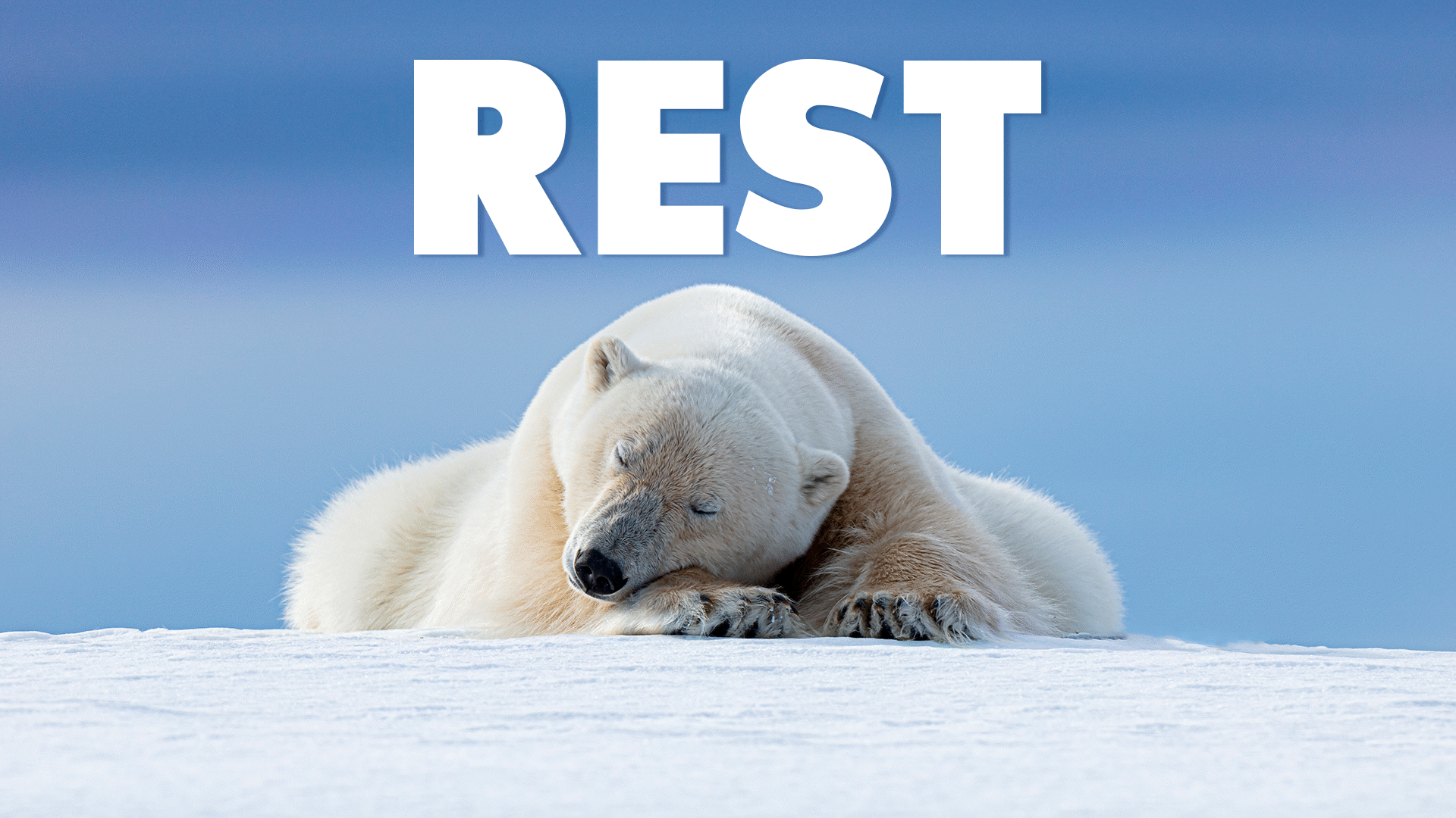 Rest Video Resources Clickview