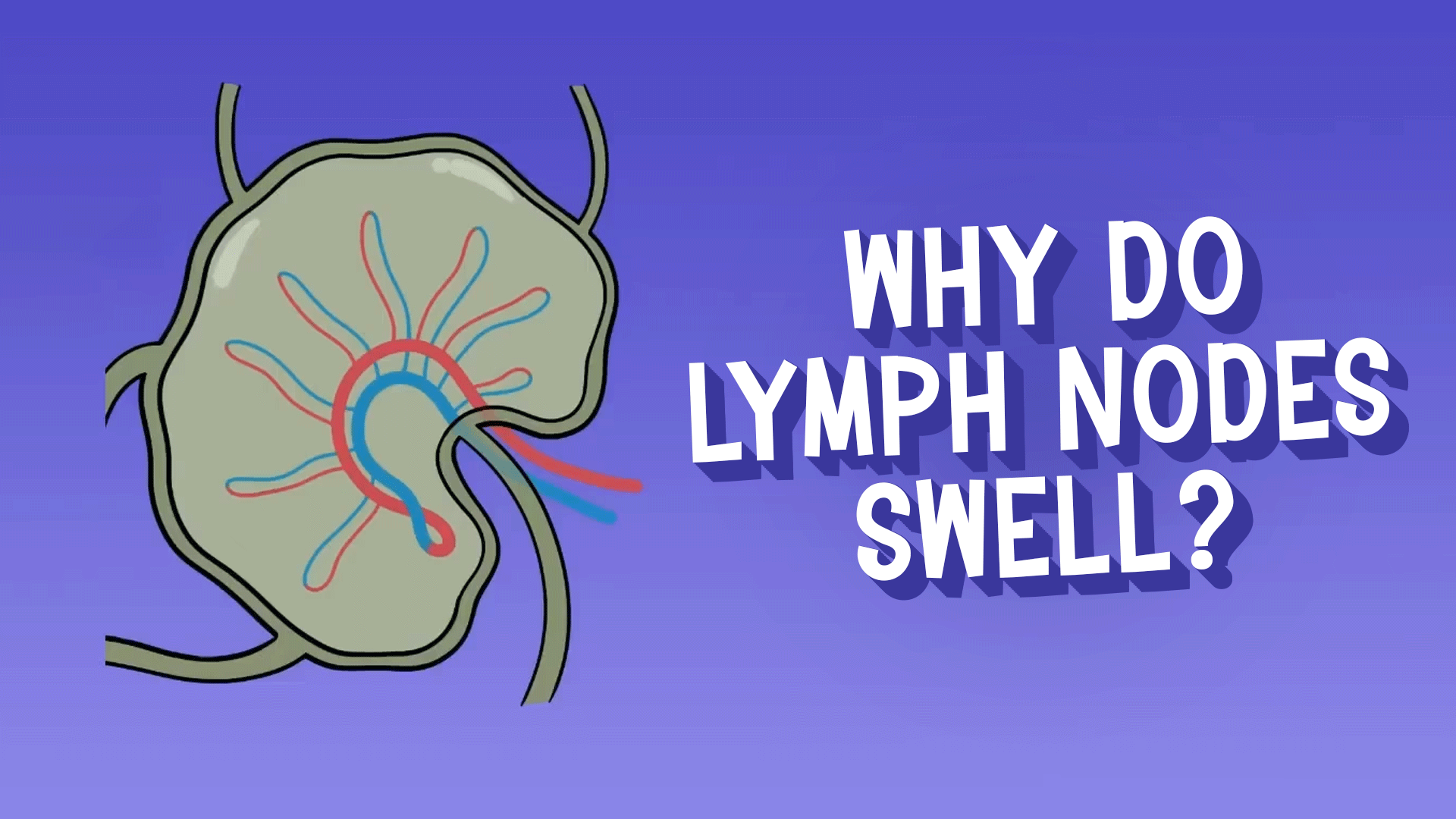 Lymphatic System Video & Resources | ClickView