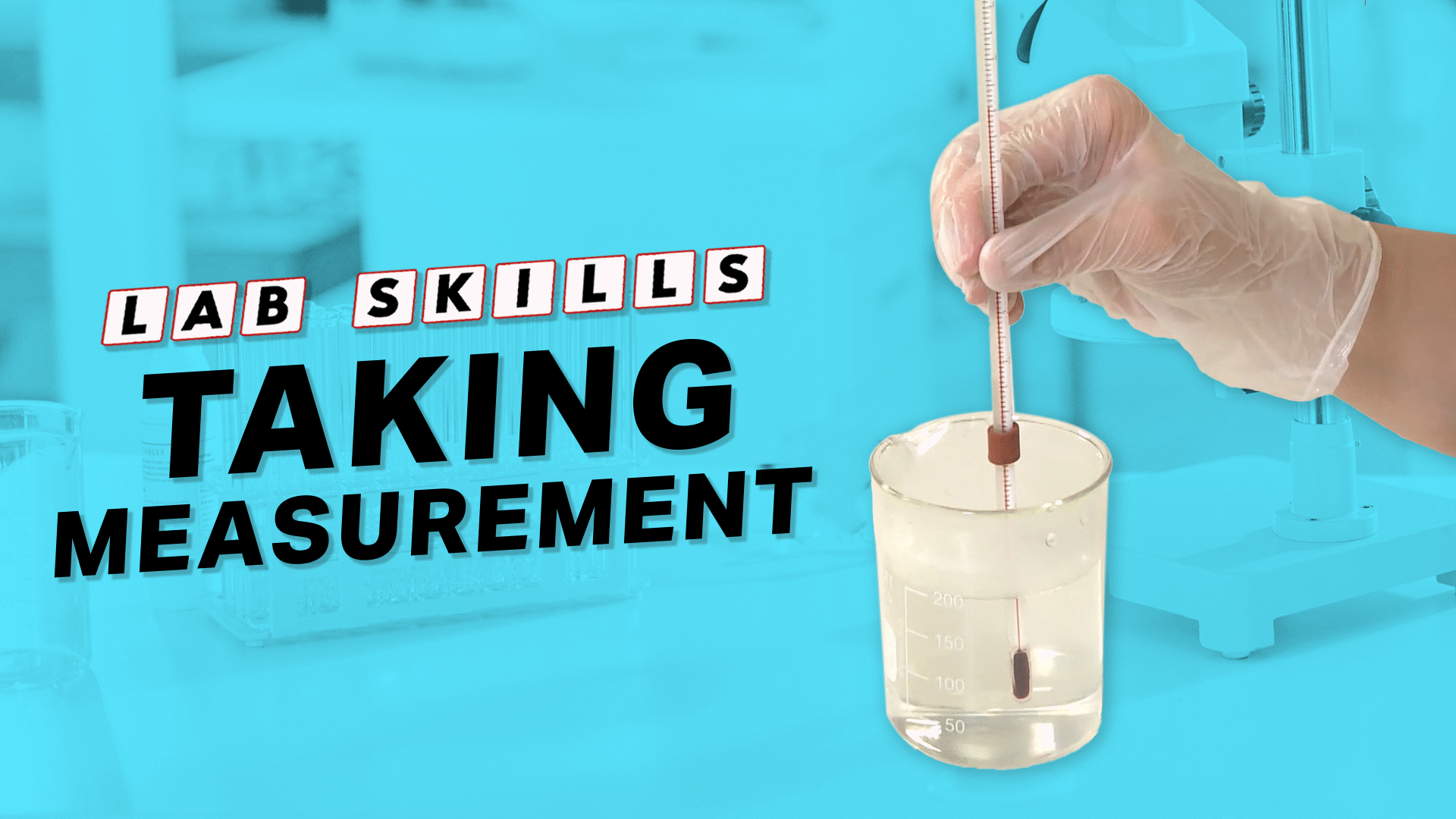 Taking Measurements Video & Resources | ClickView