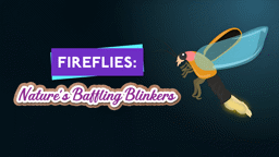 Fireflies: Nature’s Baffling Blinkers